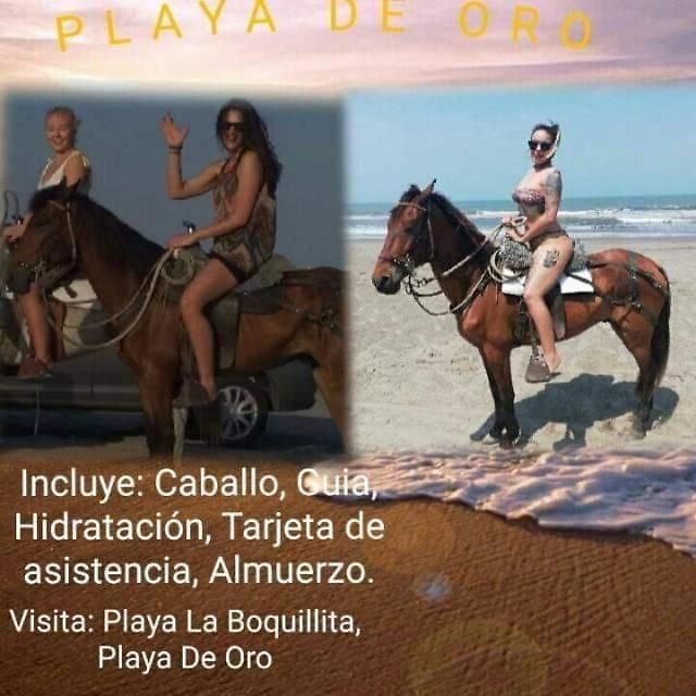 Cartagena, Nuevo Conquistador,hospedaje, Turismocolmbia-fit, Apartamento *